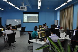 數(shù)字浪潮下的機(jī)遇與風(fēng)險 理性看待在線購彩與信息咨詢服務(wù)